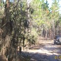 2012-Jan-02HGR4X4Croom 034